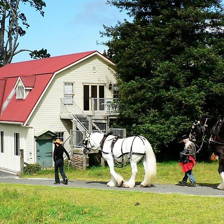 The Carriage House-Bay Of Islands Villa Kerikeri Exteriör bild